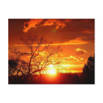 Sunset Glory Postcard