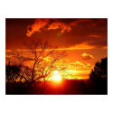 Sunset Glory Poster posters by webgrrl Sunset Glory Poster posters
