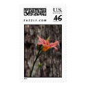 Sunset Glow postage