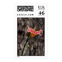 Sunset Glow postage by erin_kathleen Sunset Glow postage