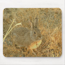 Sunset Grass Bunny mousepads