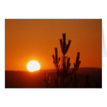 Sunset cards