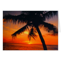 sunset greeting card