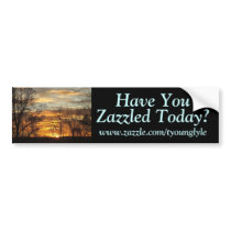 Sunset Have You, www.zazzle.com/tyounglyle, ... bumper stickers
