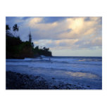 Sunset Hawaiian Surfers Postcard