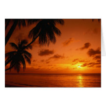 Sunset Healing Card
