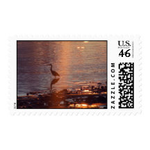 Sunset Heron 42 Stamps