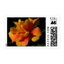 Sunset Hibiscus