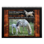SUNSET HILL APPALOOSAS (REVISED) CALENDARS