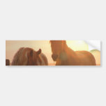 Sunset Horses  Bumper Sticker