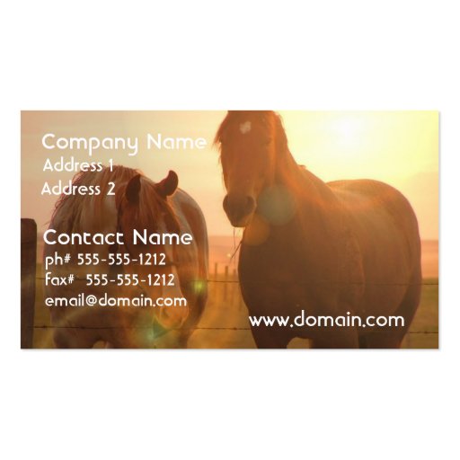 Sunset Horses  Business Card