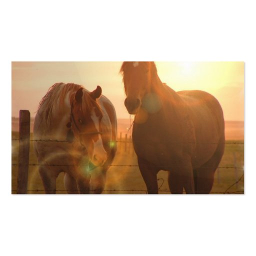 Sunset Horses  Business Card (back side)