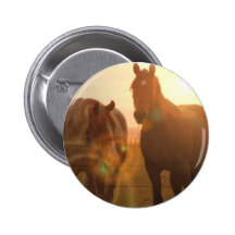 Sunset Horses  Button