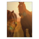 Sunset Horses  Greeting Card