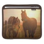 Sunset Horses iPad Sleeve