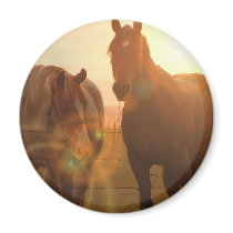 Sunset Horses  Magnet