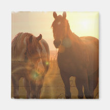Sunset Horses  Magnet