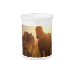 Sunset Horses Pitcher