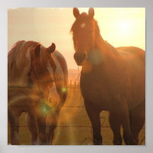 Sunset Horses  Poster 