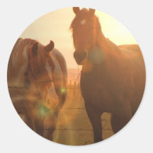 Sunset Horses  Stickers