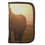 Sunset Horses Wallet Folio Organizers