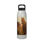Sunset Horses Water Bottle