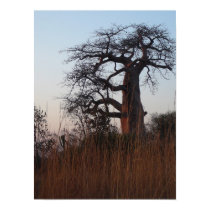Sunset in Africa posters