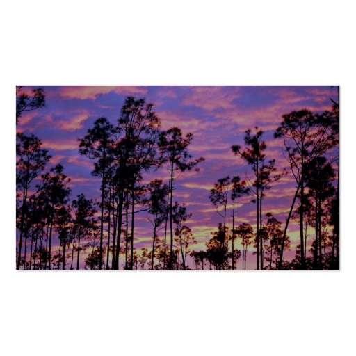 Sunset in Everglades National Park, Florida, U.S.A Business Card (back side)