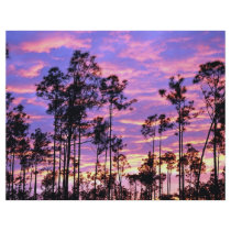 Sunset in Everglades National Park, Florida, U.S.A Flyers