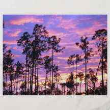 Sunset in Everglades National Park, Florida, U.S.A Flyers