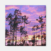 Sunset in Everglades National Park, Florida, U.S.A Magnets