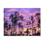 Sunset in Everglades National Park, Florida, U.S.A Post Card