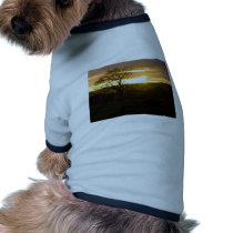 Sunset In North Yorkshire pet clothing by lifesphere Sunset In North Yorkshire pet clothing