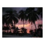 SUNSET IN PARADISE Poster