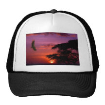Sunset In Serengeti Mesh Hat