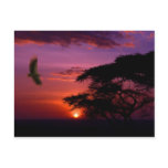 Sunset in Serengeti, Tanzania