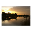 Sunset in Tempe posters