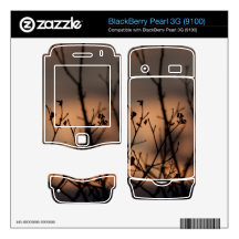 Sunset in the Background BlackBerry Pearl 3G Skins