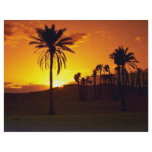 Sunset in the desert, The Sahara, Tunisia Desert flyers