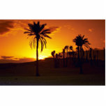 Sunset in the desert, The Sahara, Tunisia Desert photo sculptures