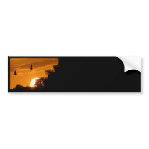 Sunset in the Everglades Bumper Sticker