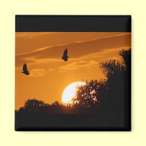 Sunset in the Everglades magnets