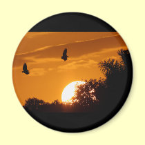 Sunset in the Everglades magnets