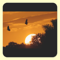 Sunset in the Everglades stickers