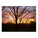 Sunset  in the Front Yard posters