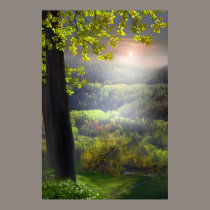 Sunset In The Hills posters