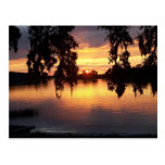 Sunset in WIndermere, Florida postcard