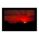SUNSET INSPIRATIONAL POSTER BY JUNGLEWALK.COM posters