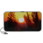 Sunset iPod Speaker