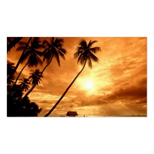 sunset island travel agency business card (back side)